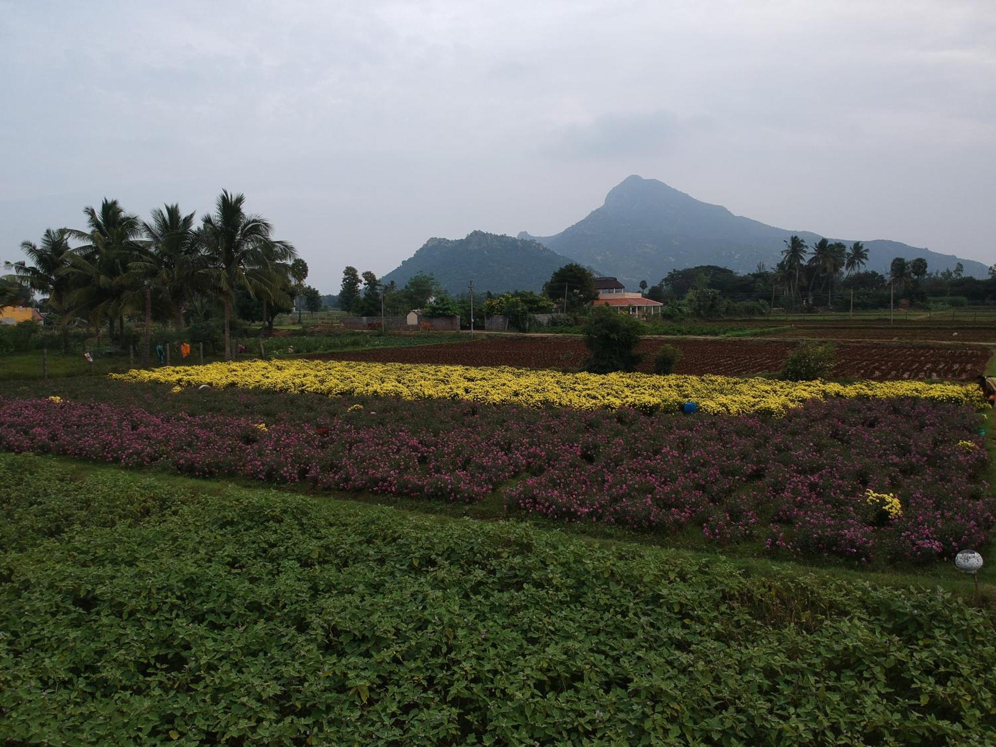 Rpm Home Stay Тируваннамалай Экстерьер фото